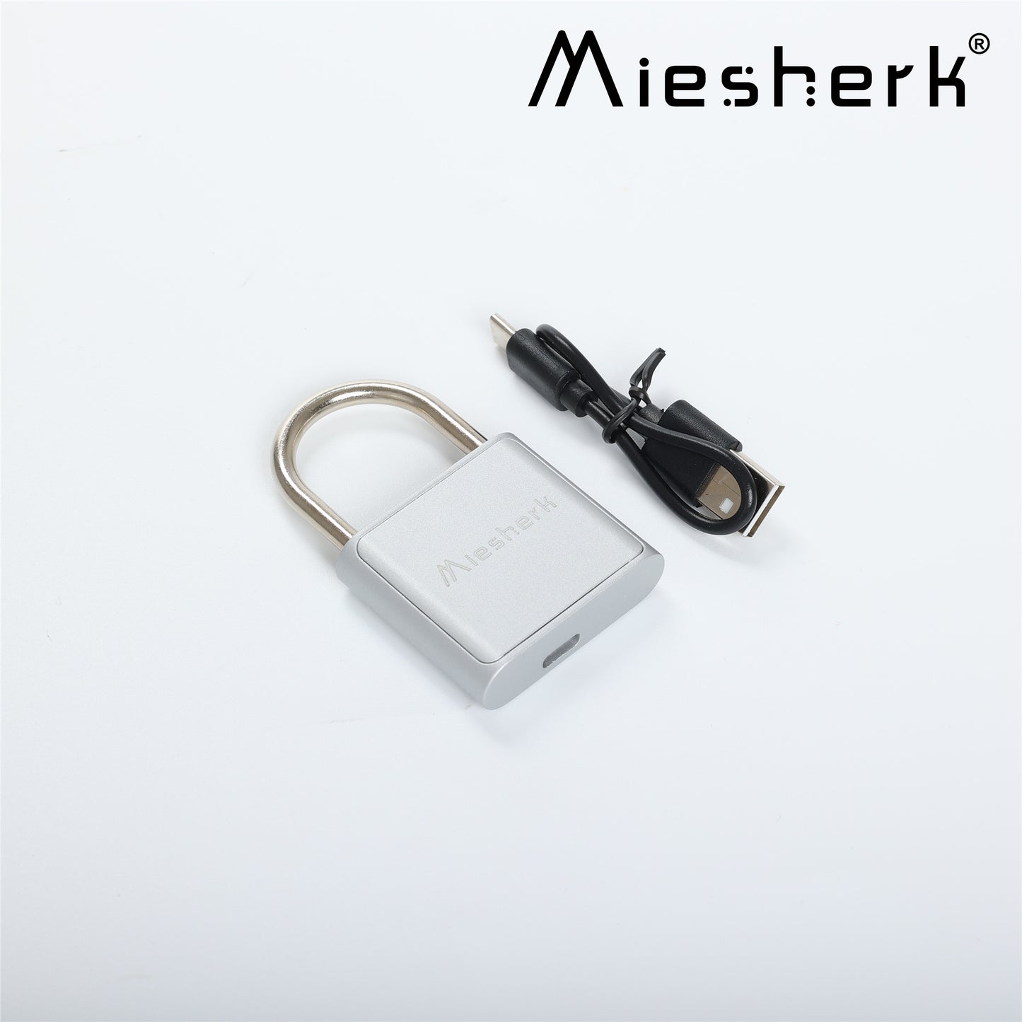 Miesherk Biometric Identification Apparatus Fingerprint Smart Padlock Lock for Gym/ School Locker, Luggage, Backpack, Suitcase